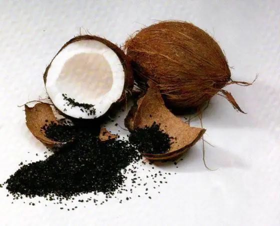 Suministro de fábrica Carbón activado Cáscara de coco Carbón de cáscara de coco granular Carbón activado de calidad alimentaria