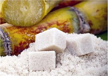 Cáscara de coco CAS 64365-11-3 Polvo de decoloración de azúcar Carbón activado
