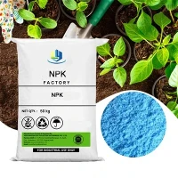 NPK 100% soluble en agua 13-40-13