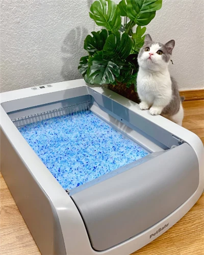 Arena para gatos de gel de sílice al por mayor de suministros de limpieza para mascotas de muestra gratuita de arena para gatos de tofu