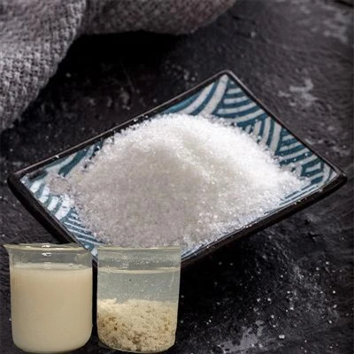 Productos químicos para el tratamiento de aguas residuales Floculante Coagulante catiónico Polvo Pam